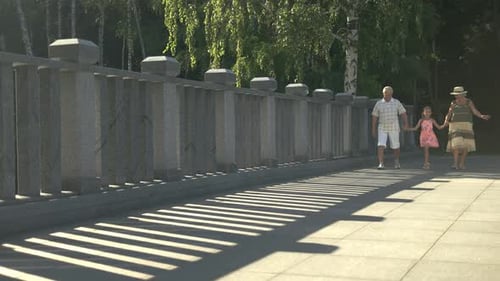 Family Walking Together in Shaded Park in the Sunshine