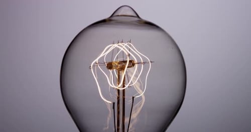 Light Bulb