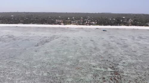 Ocean at Low Tide Aerial View Zanzibar Shallows of Coral Reef Matemwe Beach