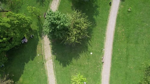 Aerial Botanical Park