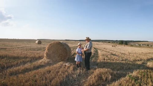 Little Girl with Grandfather in Field Haystacks, Grandfather Farmer Is Teaching the Younger