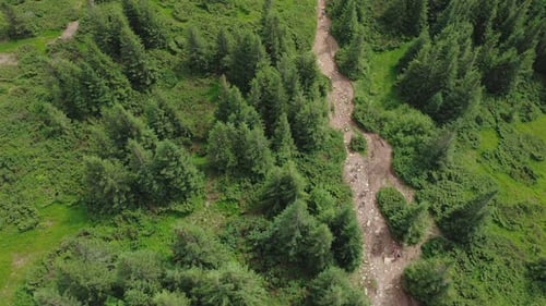 Aerial Top View of a Group of Hikers with Backpacks Walking Along a Forest Trail