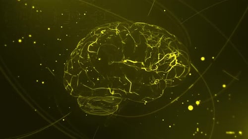 Digital Brain Neural Data