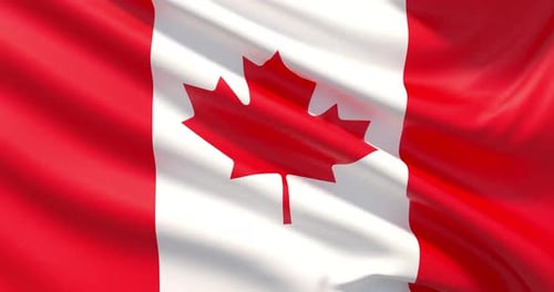 Realistic Waving Canadian Flag Loop Animation