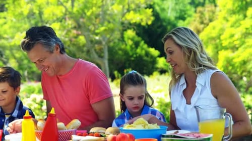 Happy family interacting with each other while having meal in park 4k