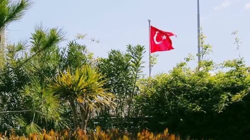 Turkish Flag Waving in the Wind, Surrounded by Greenery