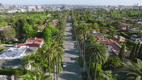 Aerial Drone Footage of Beautiful Palm Tree-Lined Beverly Hills Street on Sunny California Day