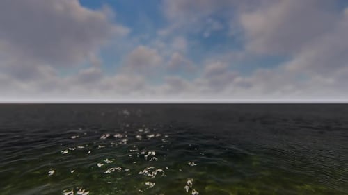 Voler sur la plage 01 HD