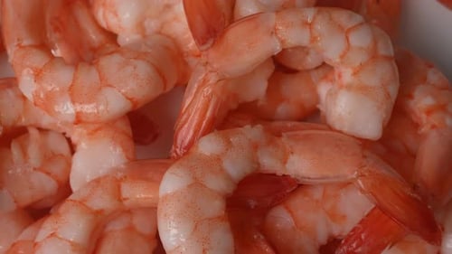 Close Up View of Cooked Pink Shrimp