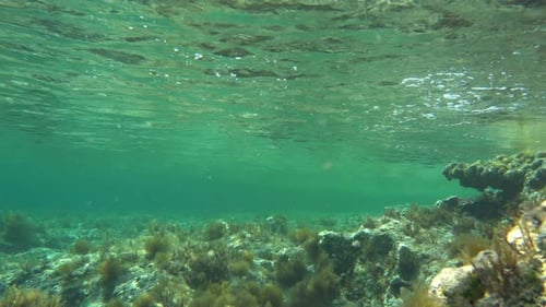 Unterwasser