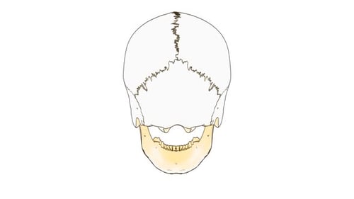 Skull Draw
