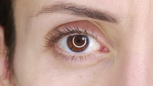 Beautiful Human Eye Closeup