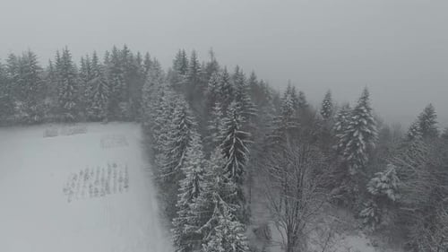 Aerial Snow Covered Trees Drone Footage Landscape Winter Nature Beautiful Europe Forest Mountain