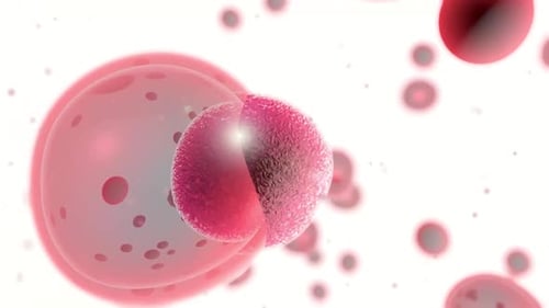 3D Microscopic Cell Interaction and Division Animation