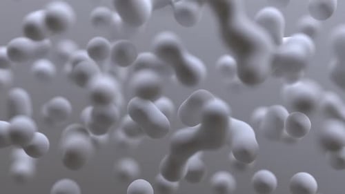 Smooth Abstract White Fluid Shapes Motion Background