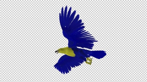 Ukraine Eagle - Flying Transition - III - 4K - Alpha Channel