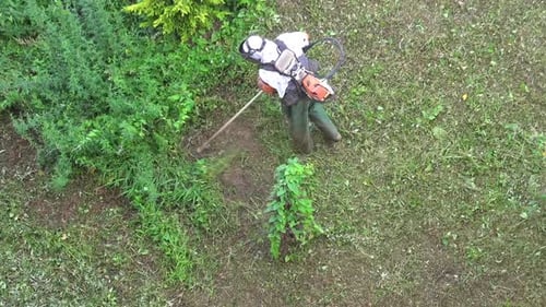 Worker Trimming Weeds in Green Rural Yard