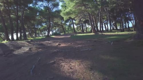 Mountain trail. Travel landscape hiking concept.