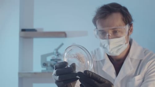 A Researcher in Protective Rubber Gloves and Goggles Examines a Part of a Plant in a Petri Dish