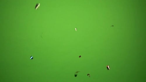 Green-screen scene with closer and fallen celebration confetti.