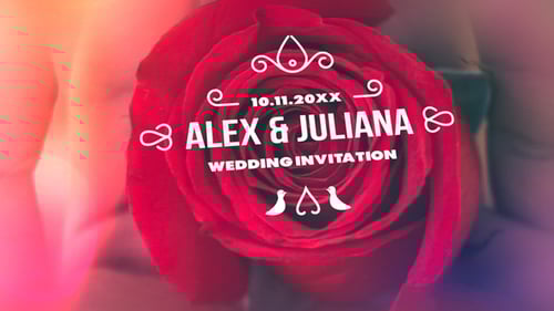 Elegant Wedding Album Titles with Romantic Overlays