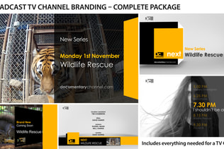 Broadcast Design - TV Channel Branding 1
