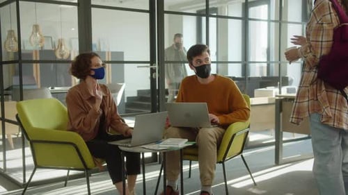 Coworkers Work Together Using Laptops in Office