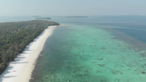Vue aérienne : survol d'une plage tropicale désertique de l'archipel des Moluques, Indonésie