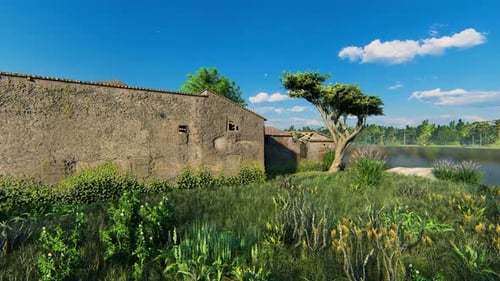 Old Broken House In Forest