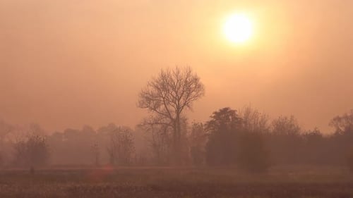 Foggy Sunrise over Rural Landscape with Golden Light