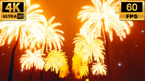 Light Palms Tunnel Alley Loop