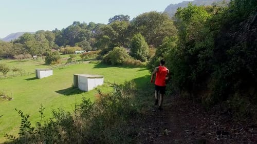 Man jogging on forest path
