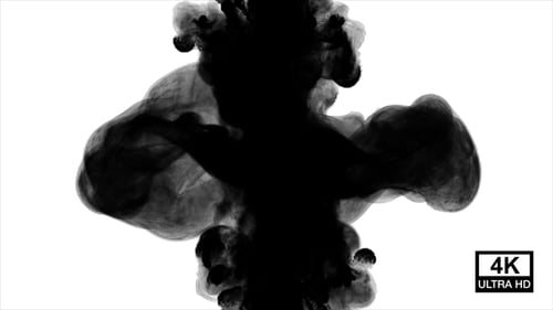 Black Ink Fluid Motion Reveal Transition