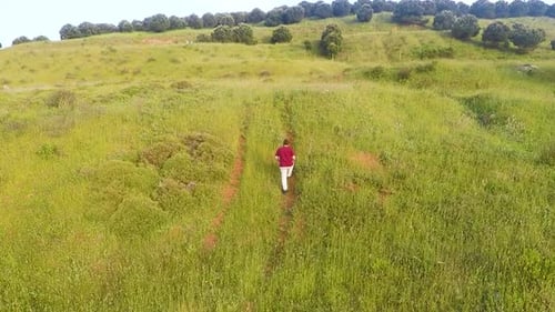 Homme seul aérien dans des champs verts