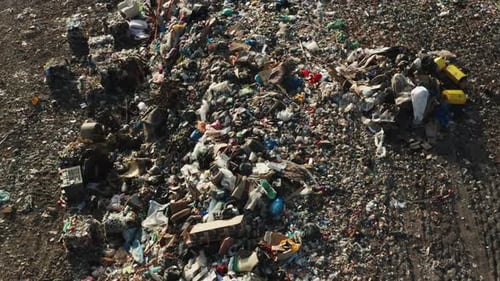 Birds Circle Above Piles of Plastic Waste on Garbage Dump