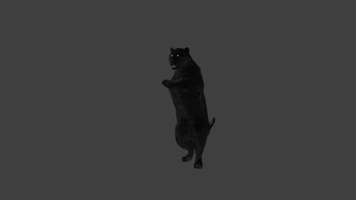 Animated Black Panther Standing on Hind Legs Roaring