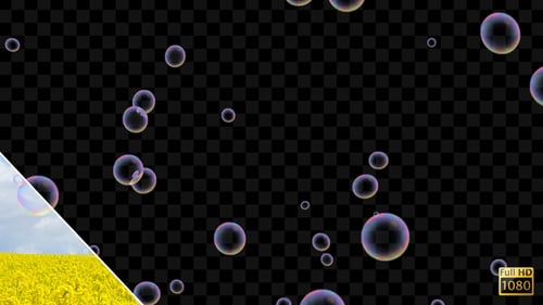 Floating Iridescent Soap Bubbles Overlay Animation