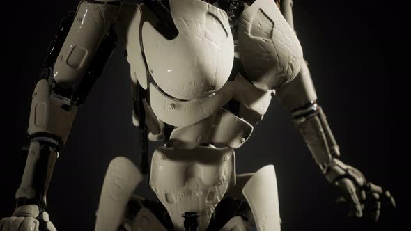 Cover for Robot Woman of Steel and Plastic