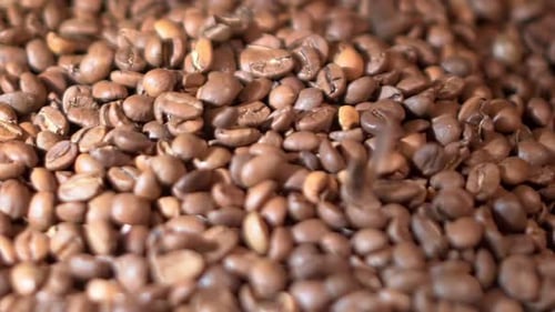 Rotating Fresh Roasted Brown Coffee Beans Close Up