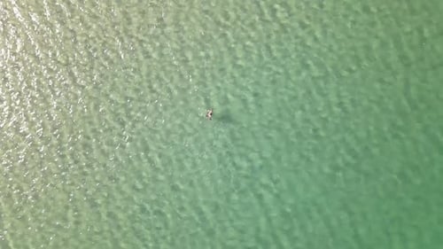 Swimming Holiday Sea Aerial View