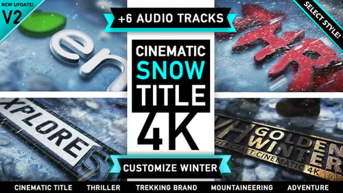 Textured Cinematic Winter Logo Reveal