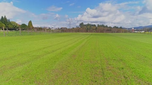Aerial View of Green Farmers Fields in Spring