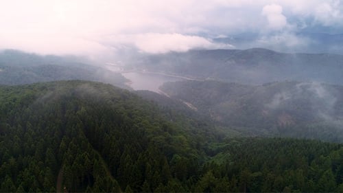Fly in the Clouds over Green Forest Hills