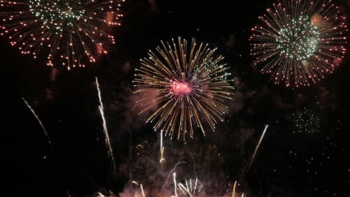 Spectacular Fireworks Explode in Night Sky