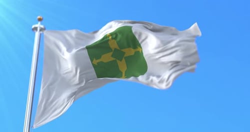 Bandeira de Brasília, Brasil