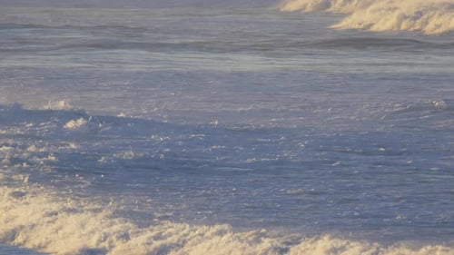 Waves break in surf line.