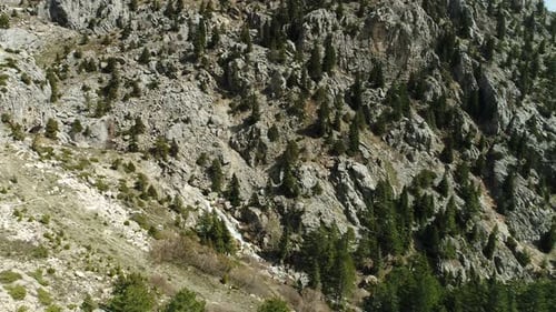 Nature Forest And Mountain Aerial View