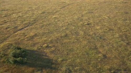 Vue aérienne des prairies