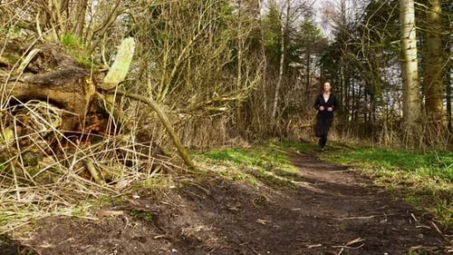 Trek Running in the Forest