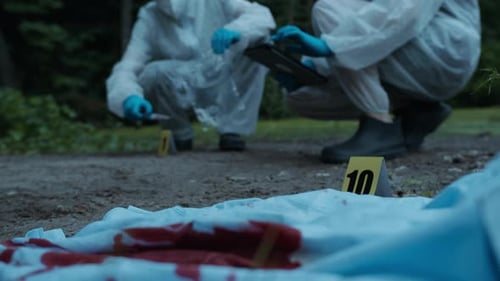 Investigators Collect Evidence at Crime Scene